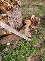 Bois a donner, Jardin & Terrasse, Bois de chauffage, Enlèvement