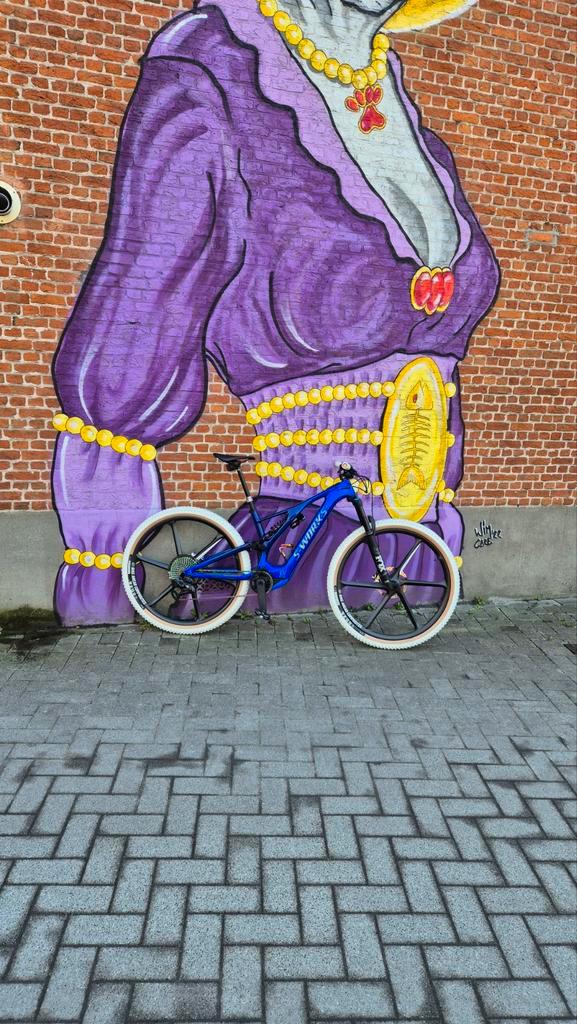 Specialized emtb meduim custom, Fietsen en Brommers, Fietsen | Mountainbikes en ATB, Ophalen