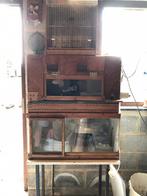 Opfok bakken voor kuikens, Dieren en Toebehoren, Ophalen, Gebruikt, Broedmachine