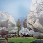 Arbres enveloppés par Christo, Enlèvement ou Envoi