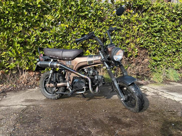 Dax Skyteam 125cc uitvoering C Brown Exclusive, Motos, Motos | Honda, Particulier, Scooter, jusqu'à 11 kW, Enlèvement