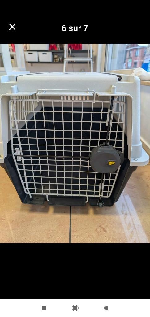 Cage transport xxl échange possible, Animaux & Accessoires, Accessoires pour chiens, Enlèvement, Comme neuf