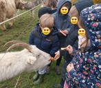 🎉 Anniversaire enfant avec rapace et animaux 🦅, Ophalen, Nieuw