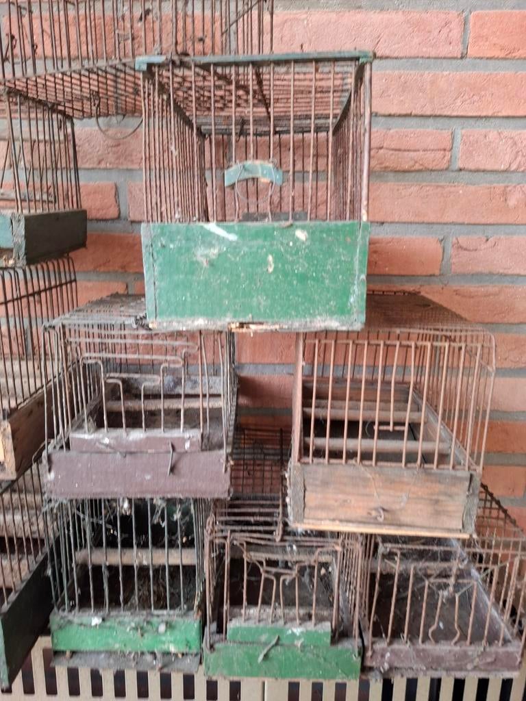 Lot oude Vogelkooien, Enlèvement