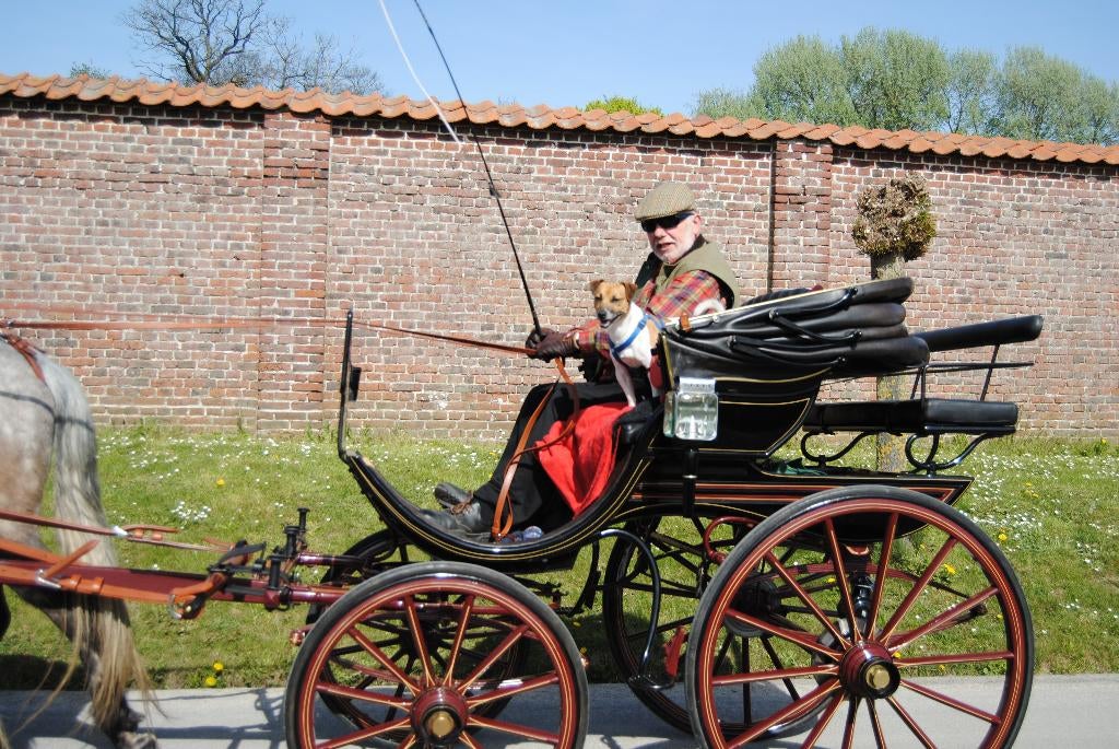 Lederen tuigen en diverse koetsen, Utilisé, Autres types, Cheval