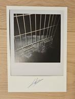 Luc Tuymans - Within, Antiek en Kunst, Kunst | Overige Kunst, Ophalen of Verzenden