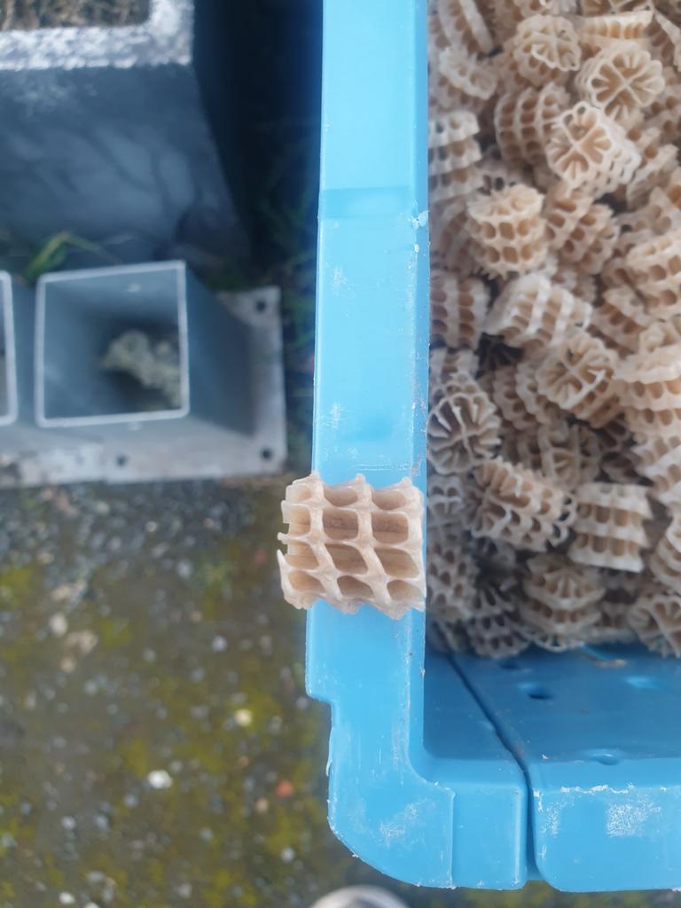 Filtration bassin, Enlèvement