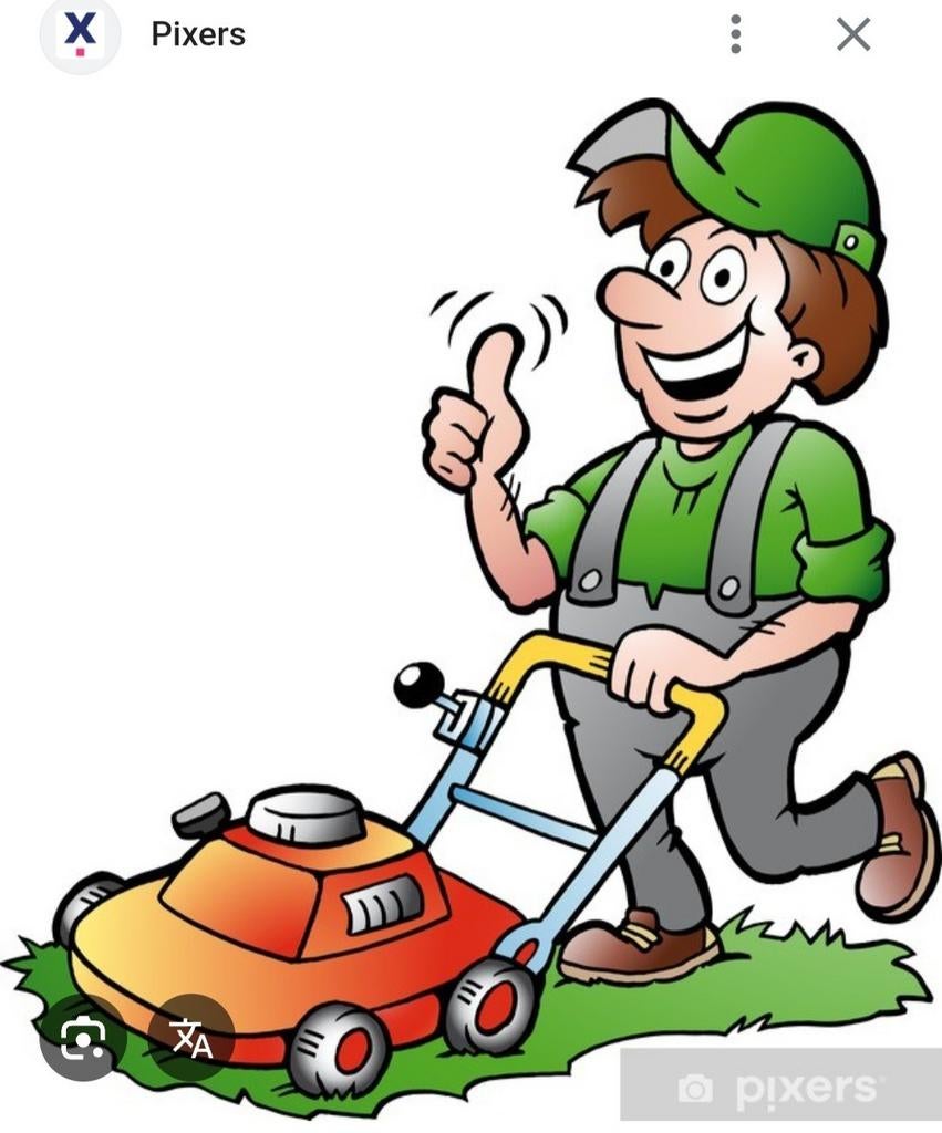 Jardinier, Services & Professionnels