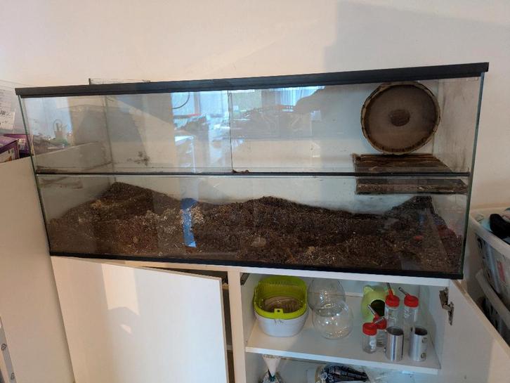 gerbilarium, Dieren en Toebehoren, Knaagdieren en Konijnen | Hokken en Kooien, Gebruikt, Hok, Minder dan 60 cm, 75 tot 110 cm