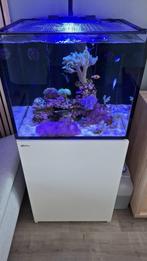 Zeeaquarium Red Sea 170, Ophalen, Zo goed als nieuw, Gevuld zeewateraquarium