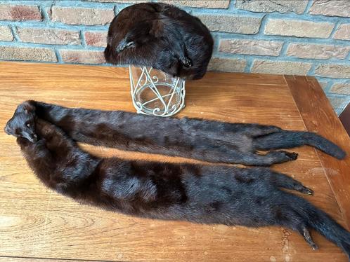 Toque et écharpe en vison, Antiek en Kunst, Antiek | Kleding en Textiel, Ophalen of Verzenden