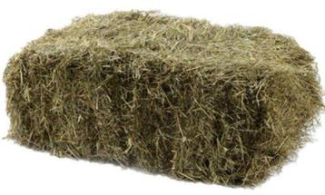 Hooi kleine balen, Zakelijke goederen, Landbouw | Veevoer, Ophalen