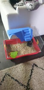 Cage a lapin, Dieren en Toebehoren, Ophalen, Kooi, Konijn
