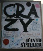 DAVID SPILLER   CRAZY, Ophalen of Verzenden, DAVID SPILLER, Schilder- en Tekenkunst