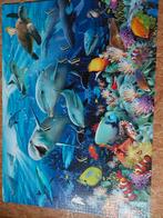 Puzzle de 4000 pièces, Enlèvement