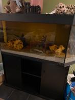 Juwel aquarium + kast, Dieren en Toebehoren, Ophalen, Gebruikt, Leeg aquarium