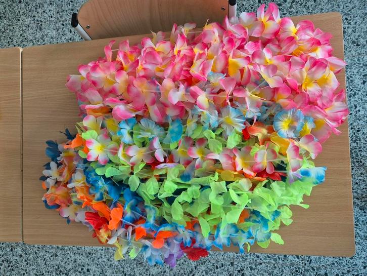 Verkleedkledij thema Hawaii, Kleding | Dames, Carnavalskleding en Feestkleding, Nieuw, Ophalen of Verzenden