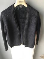 gilet maat 146, Gebruikt, Meisje, Trui of Vest, Ophalen