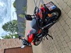 Harley Street750 orange, Motoren, Motoren | Harley-Davidson, 750 cc, Motorrijbewijs A, Particulier, Meer dan 35 kW