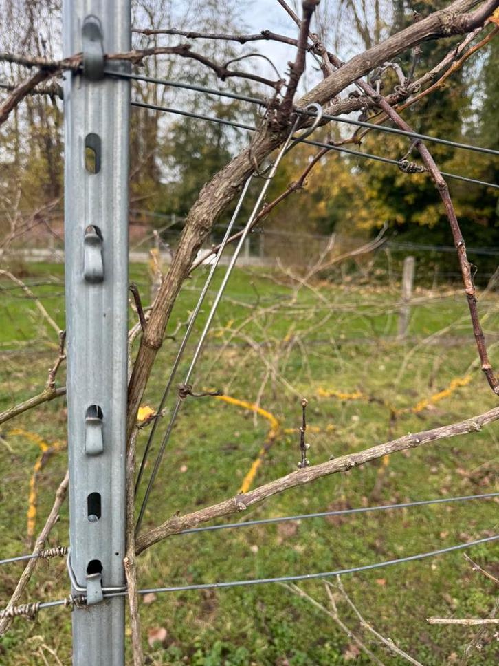 Poteaux de vigne et accessoires, Jardin & Terrasse, Poteaux, Poutres & Planches, Comme neuf, Poteaux, Enlèvement