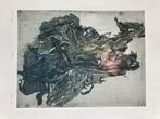 ets kleur 30/45 cm, Antiek en Kunst, Kunst | Etsen en Gravures, Ophalen of Verzenden
