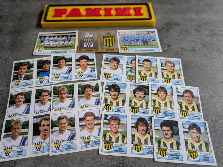 PANINI FOOTBALL 88 TONGEREN / WATERSCHEI   15 STICKERS 1988, Hobby en Vrije tijd, Stickers en Plaatjes, Nieuw, Verzenden