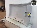 HEMELBEKLEDING Skoda Fabia IV (PJ3) (01-2021/-), Auto-onderdelen, Interieur en Bekleding, Gebruikt, Skoda