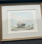 Tekening Pros Colpaert (2/30), Antiek en Kunst, Kunst | Etsen en Gravures, Ophalen