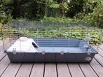 Cage à lapin d'intérieur, Kooi, Hamster, Ophalen, Minder dan 60 cm