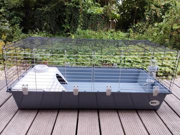 Cage à lapin d'intérieur beschikbaar voor biedingen