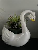 Valentijn, Enlèvement