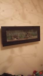 Aquarium, Dieren en Toebehoren, Ophalen, Gebruikt, Verlichting of Verwarming