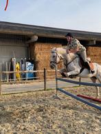 Leuk paardje  dit weekend op te halen PRIJS BESPREEKBAAR!!!, Vermifugé, Moins de 160 cm, Hongre, Cheval de saut
