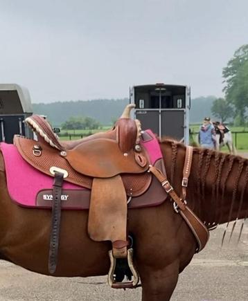 Barrelzadel denver beschikbaar voor biedingen
