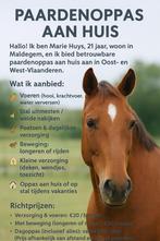 paarden en/of honden oppas aan huis of op stal