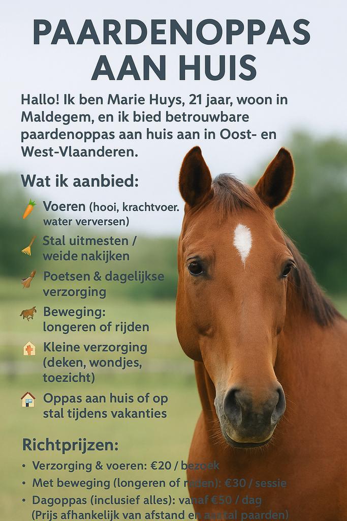 paarden en/of honden oppas aan huis of op stal, Dieren en Toebehoren, Paarden