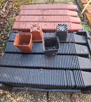 bloempot, P9, vierkante kweekpot, prijs per 1000  beschikbaar voor biedingen