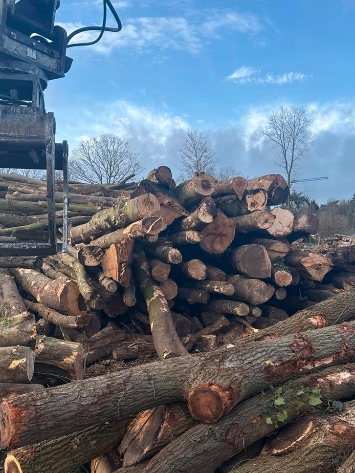 Stamhout, Tuin en Terras, Brandhout, Stammen, Ophalen