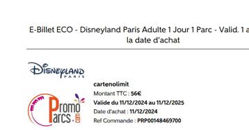 E-Billet ECO - Disneyland Paris Adulte 1 Jour 1 Parc, Tickets & Billets, Une personne, Ticket ou Carte d'accès