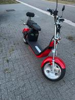 Nieuw Elektrische Scooter Nzita Zonder Papier een batterij, Ophalen, Nieuw