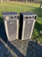 Peavey T-300  vintage speaker cabinets, Audio, Tv en Foto, Luidsprekerboxen, Ophalen, Gebruikt, Overige typen, Overige merken