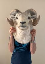 Grote kop schaap / ram wanddecoratie, Ophalen, Zo goed als nieuw