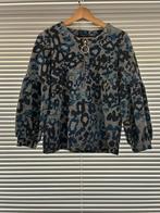 Pull Caroline Biss maat 34, Kleding | Dames, Blauw, Ophalen of Verzenden, Zo goed als nieuw, Lange mouw