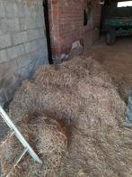 Gratis los hooi, Ophalen