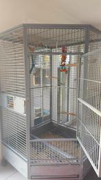 XXL-kooi of ruilkooi, Dieren en Toebehoren, Ophalen, Gebruikt, Metaal, Vogelkooi