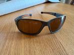Lunettes solaires Julbo Montebianco - photochromiques, Ophalen of Verzenden, Gebruikt, Zonnebril