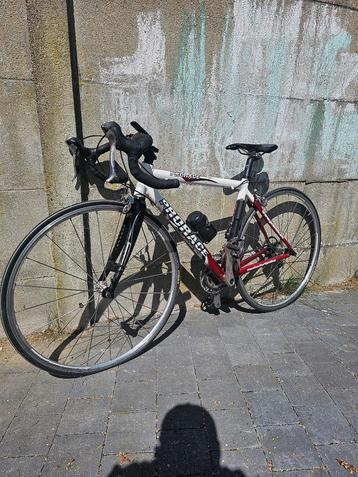 Koers fiets carbon proffesional Prorace tussenmaat  beschikbaar voor biedingen