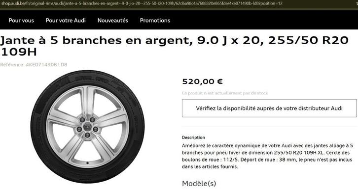 Jantes 20" Audi d'origine, pneus hiver, Autos : Pièces & Accessoires, Pneus & Jantes, Pneus et Jantes, Pneus hiver, 20 pouces