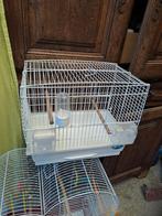 Cage canaris, Ophalen, Zo goed als nieuw