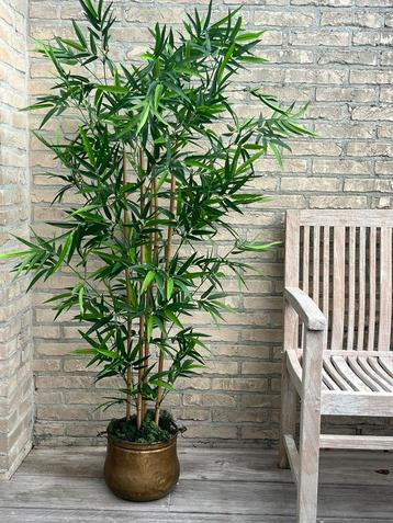 Plante de bambou artificielle, comme neuve !